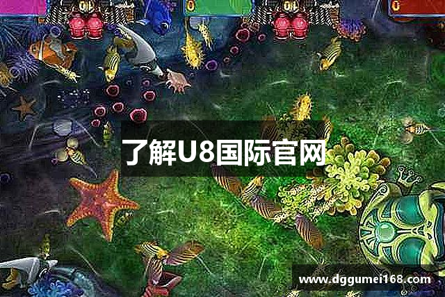了解U8国际官网